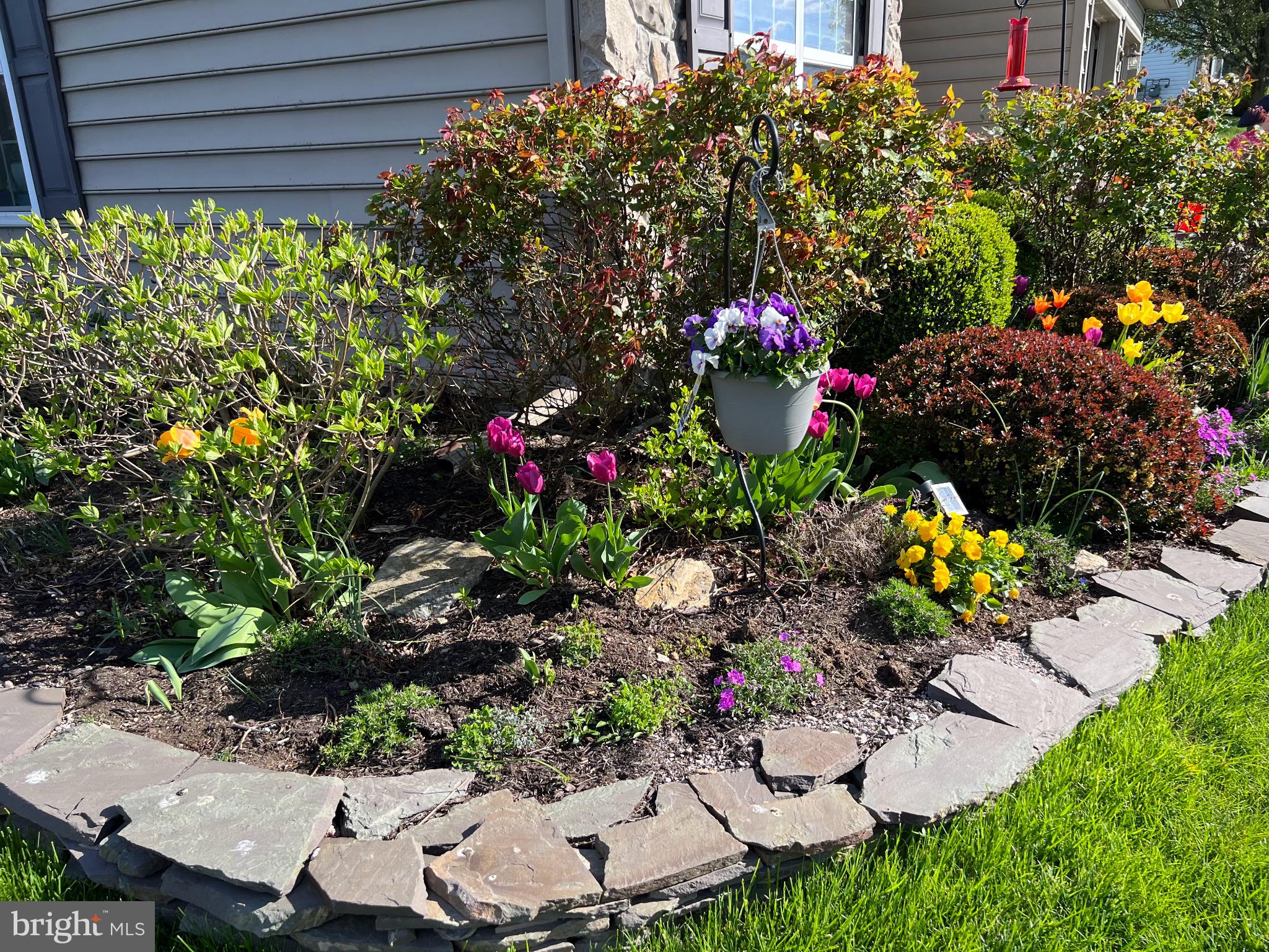 BUMBLE BEE HOLLOW - Residential