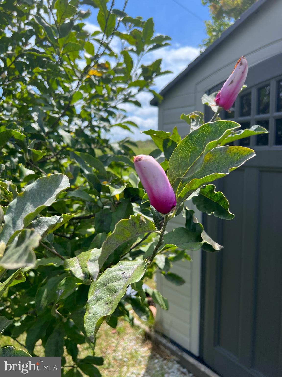 BUMBLE BEE HOLLOW - Residential