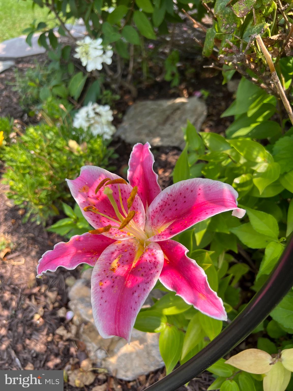 BUMBLE BEE HOLLOW - Residential