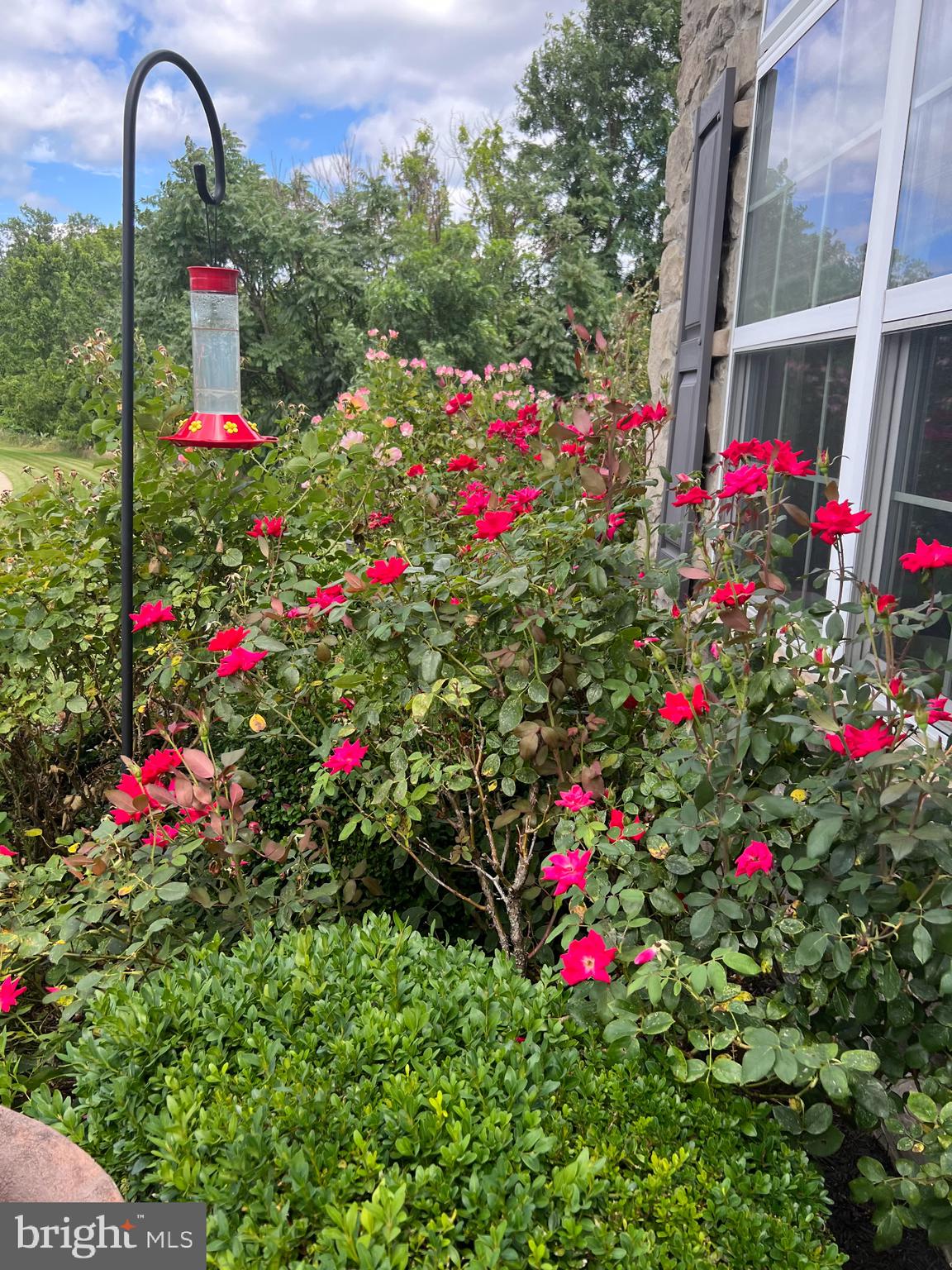 BUMBLE BEE HOLLOW - Residential