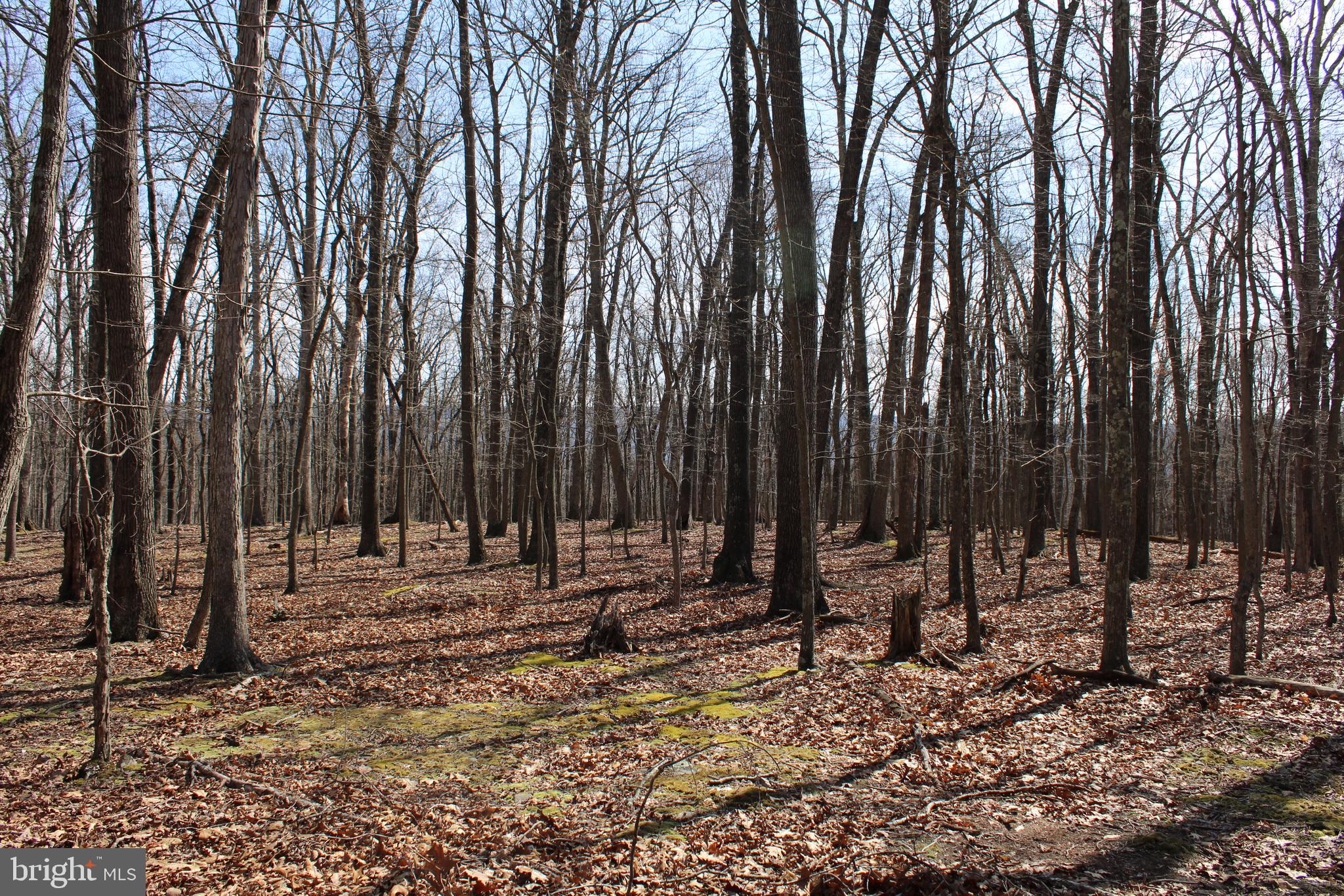 RIVER RIDGE SUBDIVISION - Land