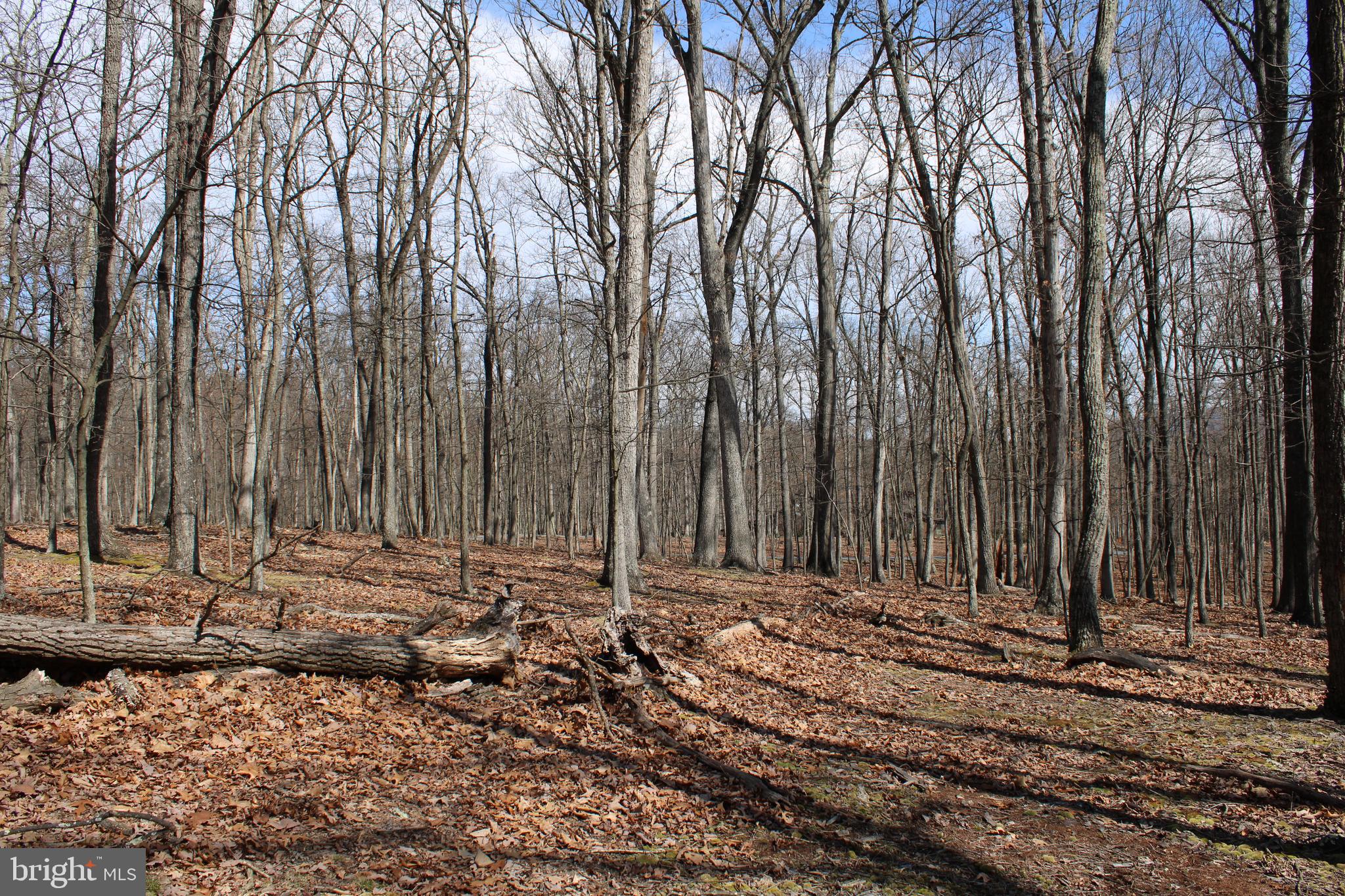 RIVER RIDGE SUBDIVISION - Land