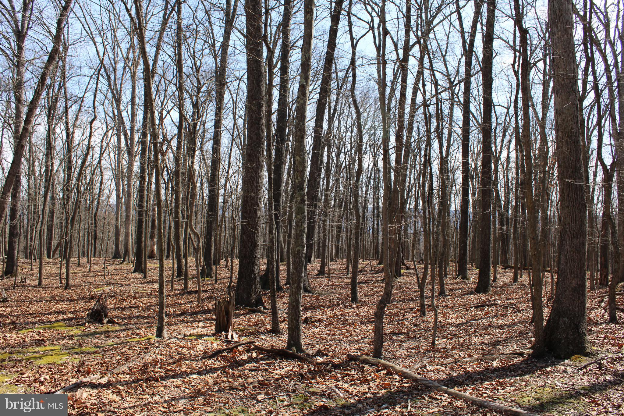 RIVER RIDGE SUBDIVISION - Land