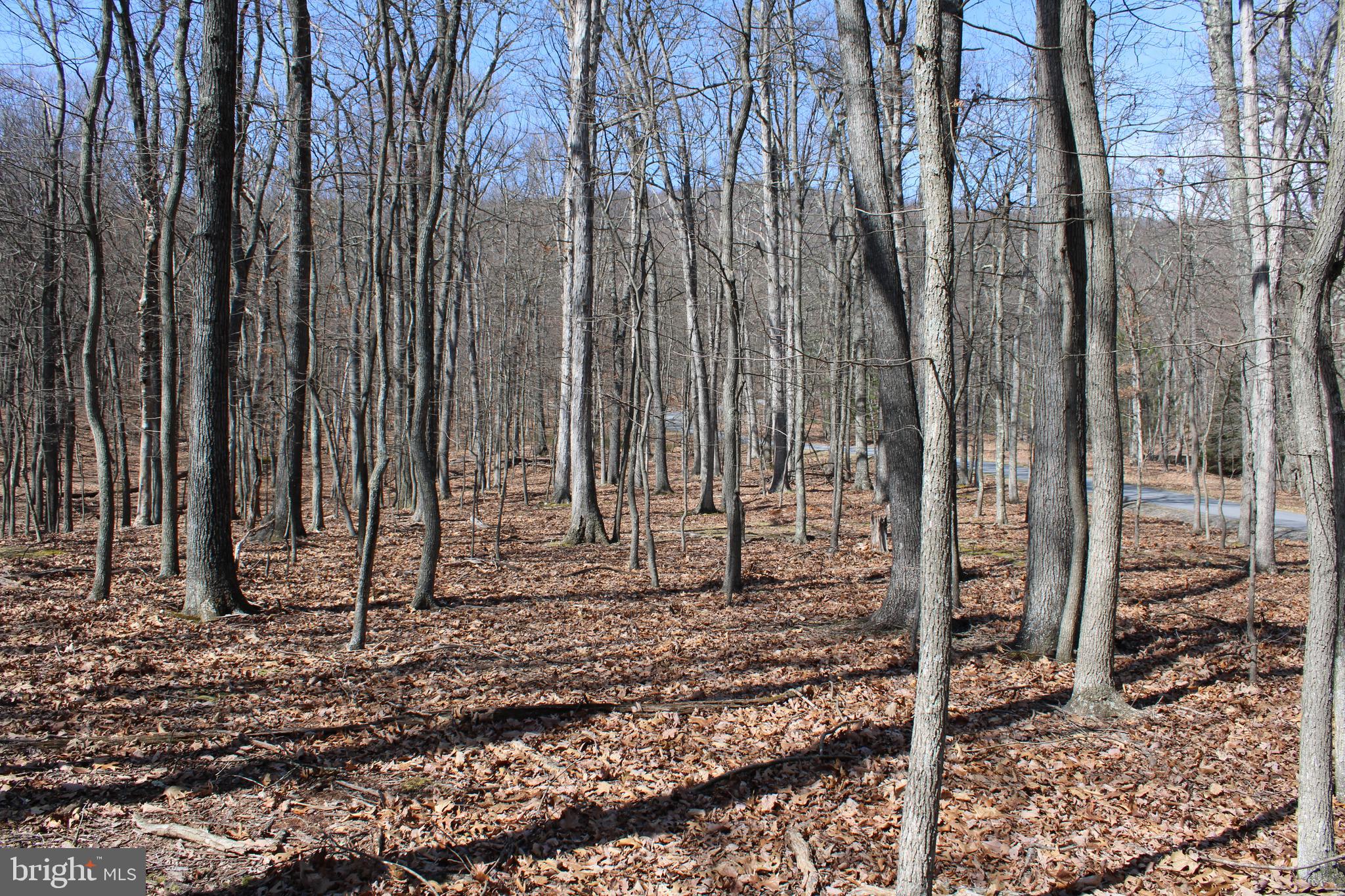 RIVER RIDGE SUBDIVISION - Land