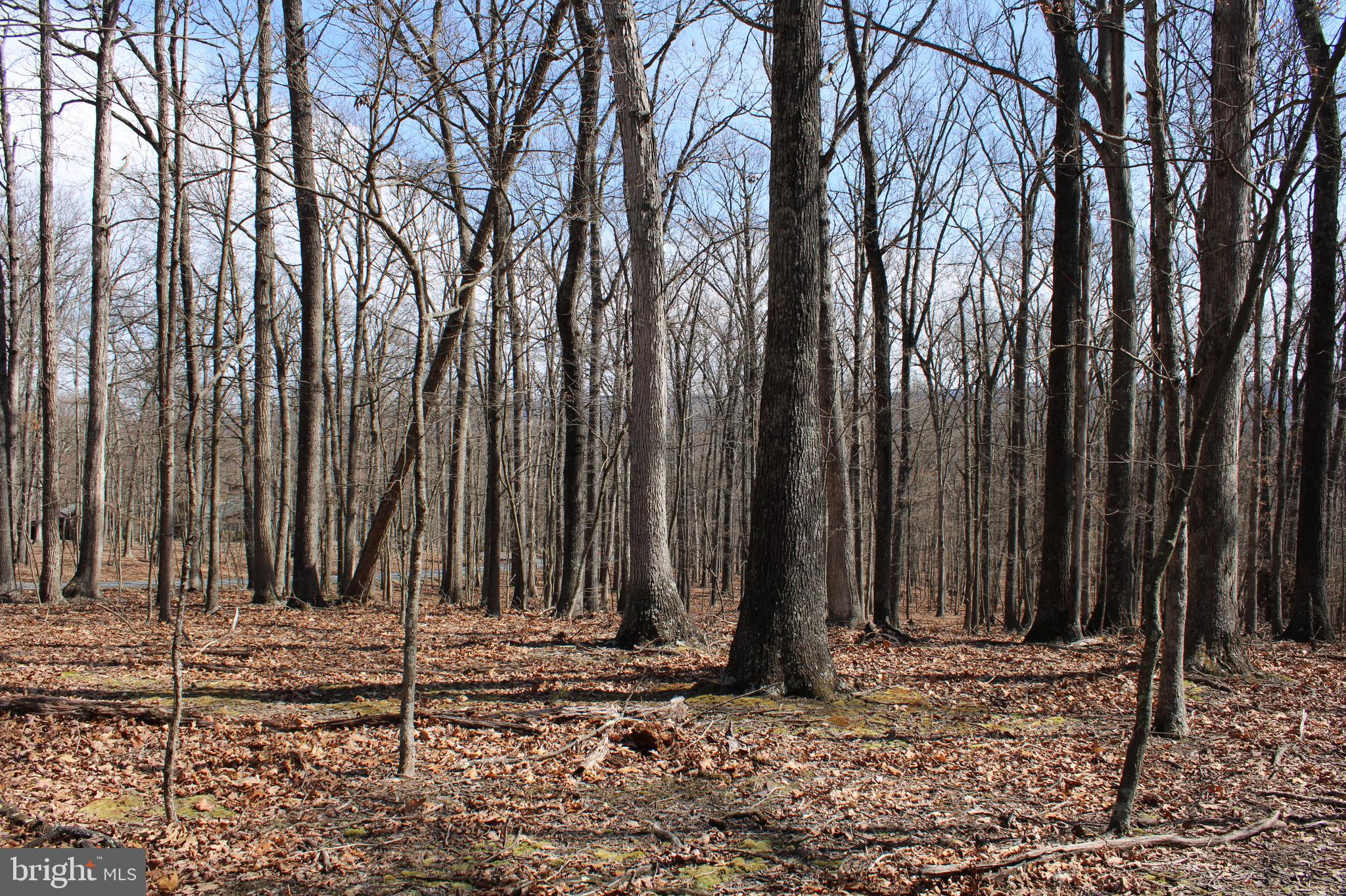 RIVER RIDGE SUBDIVISION - Land