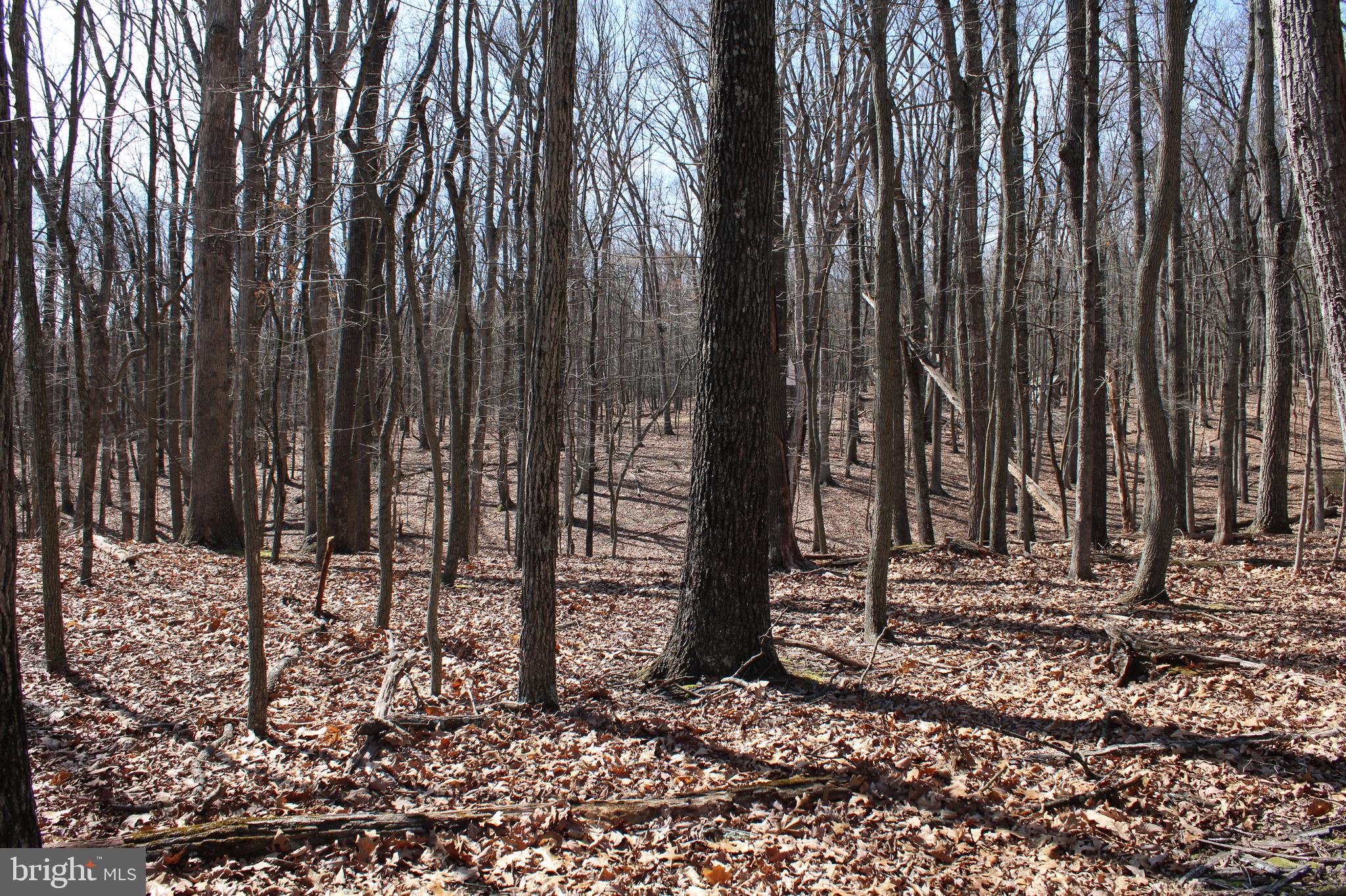 RIVER RIDGE SUBDIVISION - Land