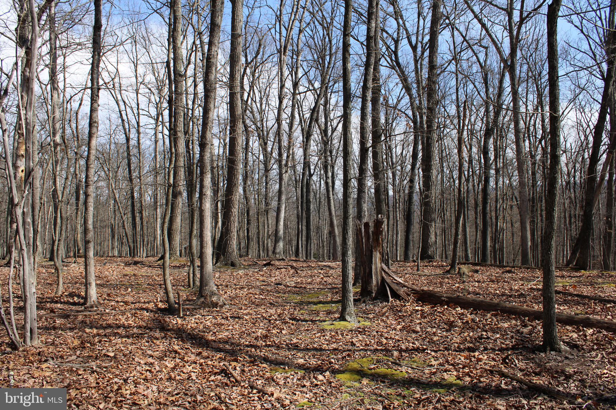 RIVER RIDGE SUBDIVISION - Land