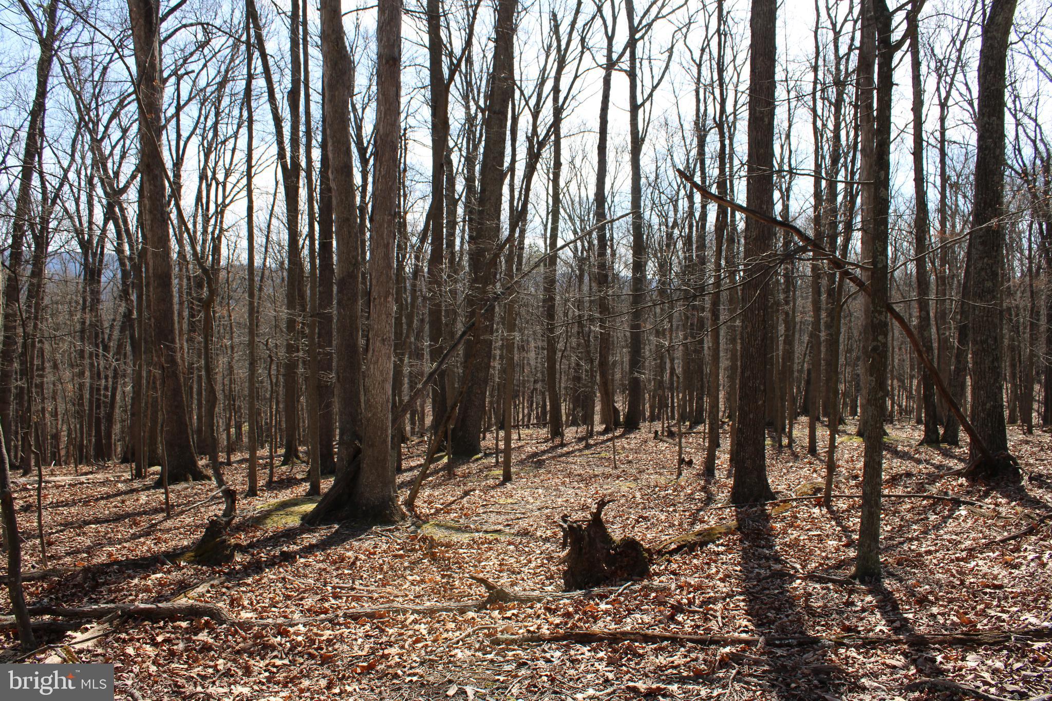 RIVER RIDGE SUBDIVISION - Land