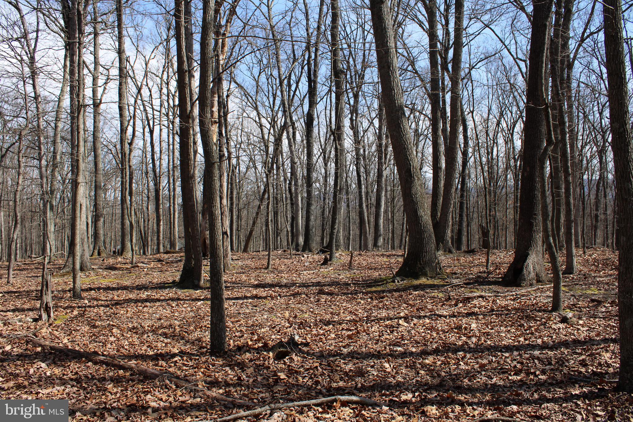 RIVER RIDGE SUBDIVISION - Land