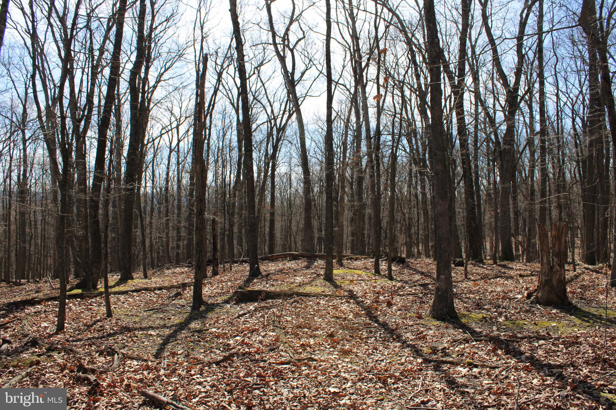 RIVER RIDGE SUBDIVISION - Land