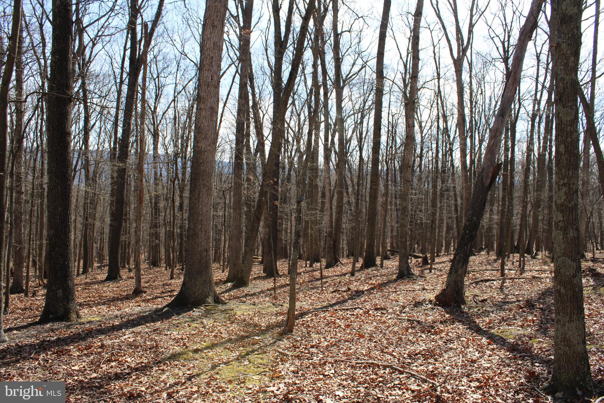 RIVER RIDGE SUBDIVISION - Land