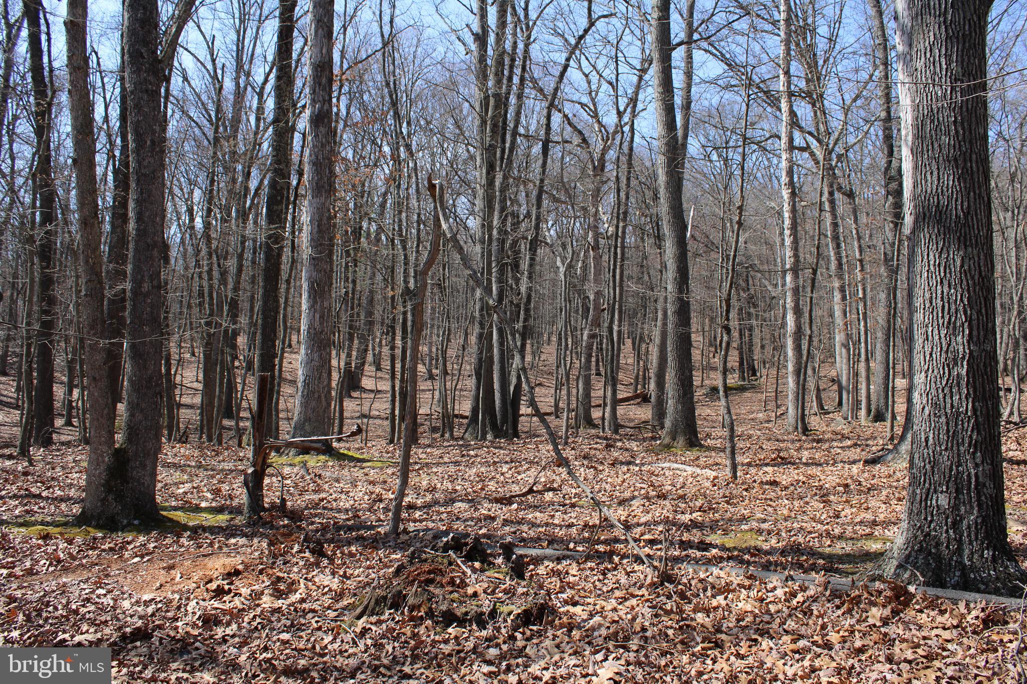 RIVER RIDGE SUBDIVISION - Land