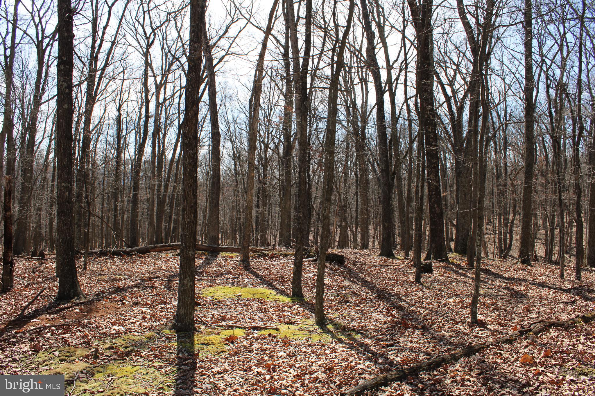 RIVER RIDGE SUBDIVISION - Land