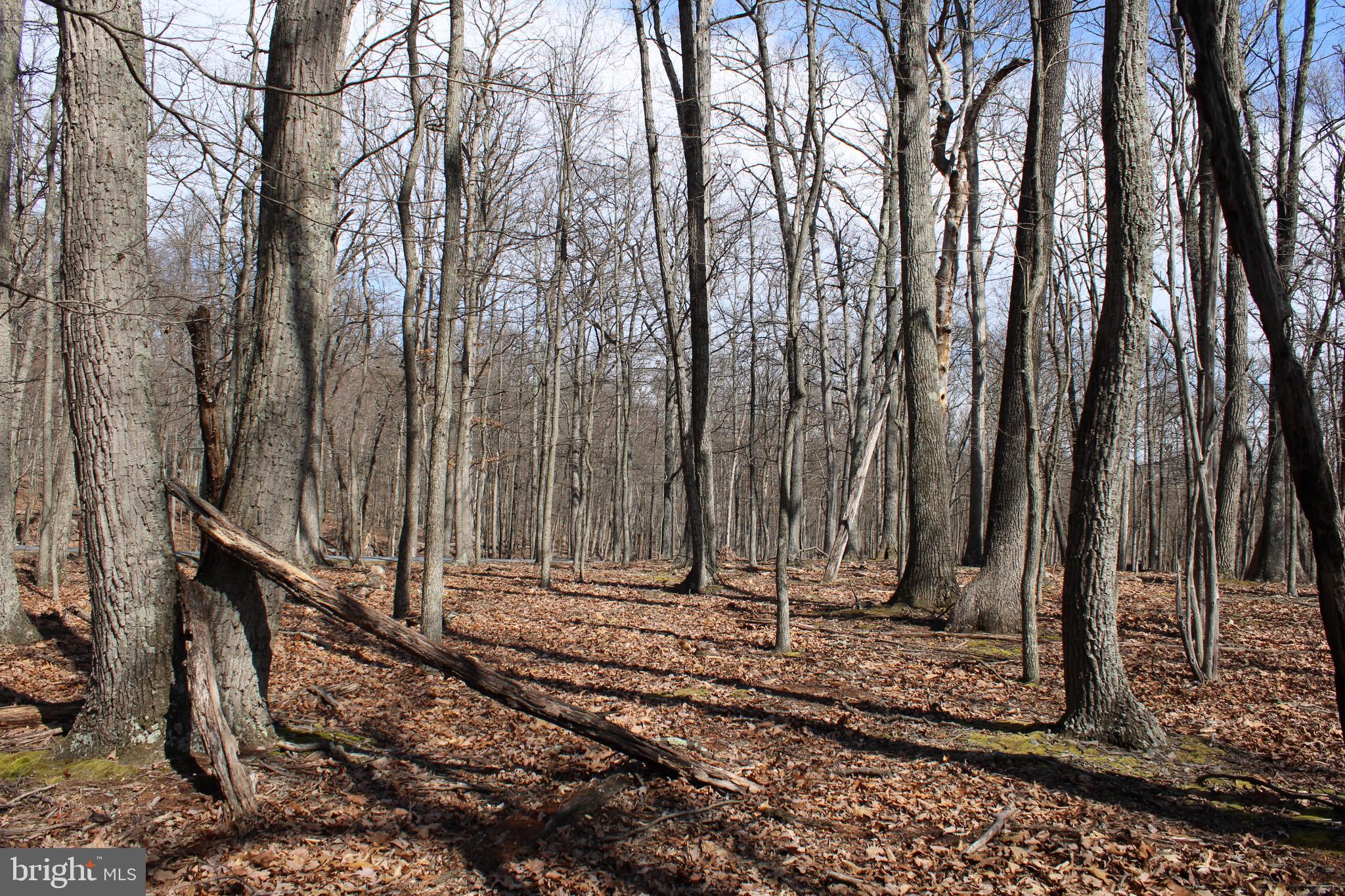 RIVER RIDGE SUBDIVISION - Land