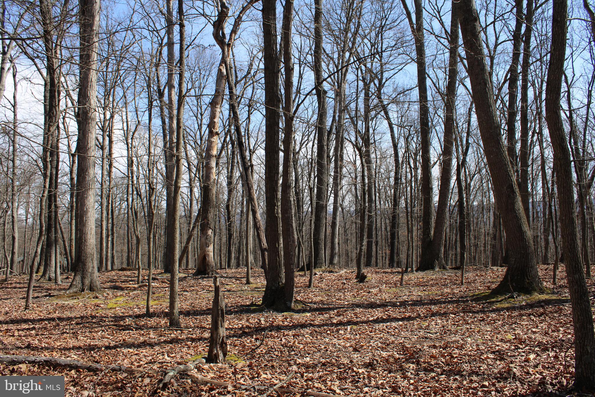 RIVER RIDGE SUBDIVISION - Land