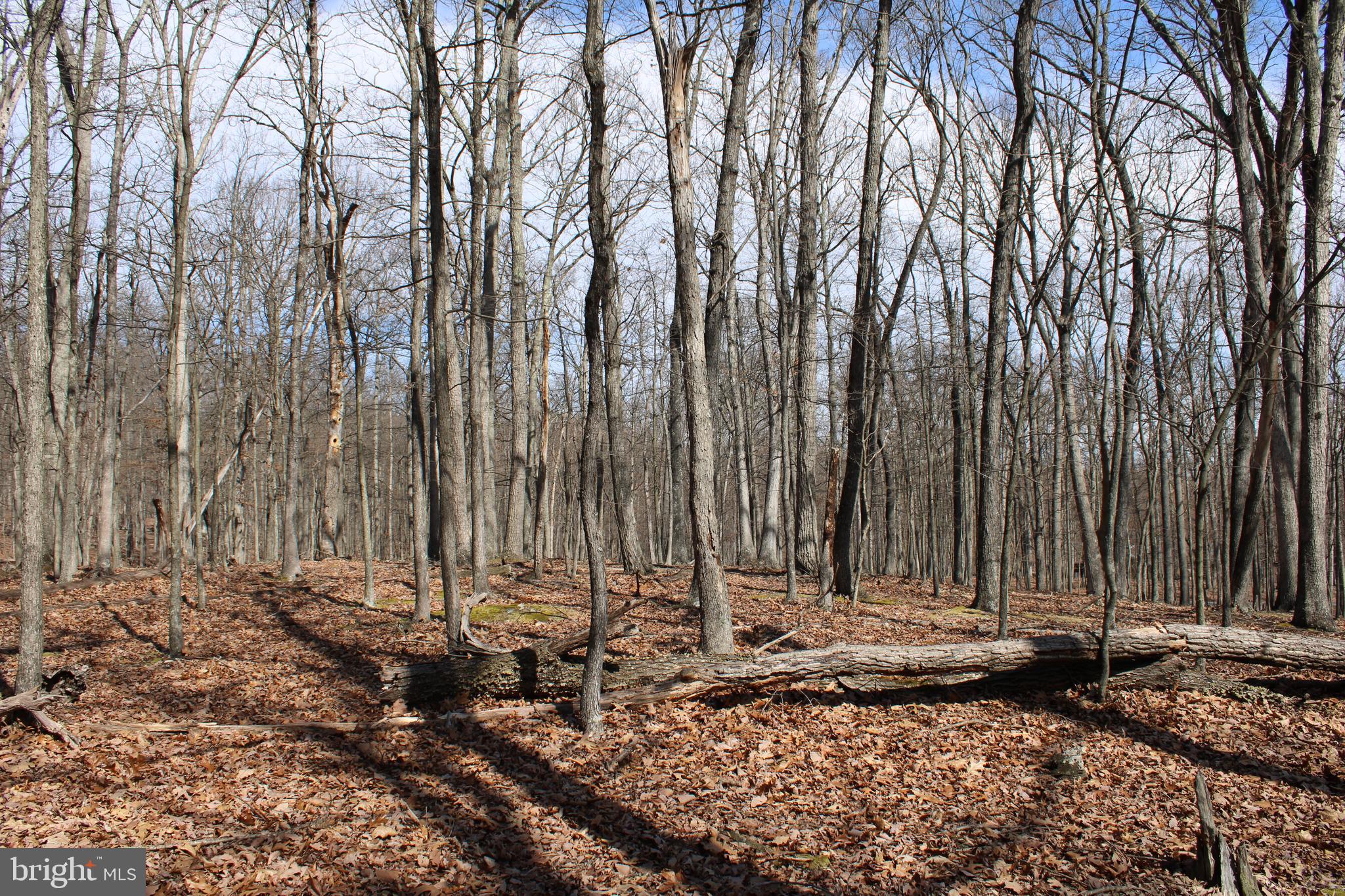 RIVER RIDGE SUBDIVISION - Land