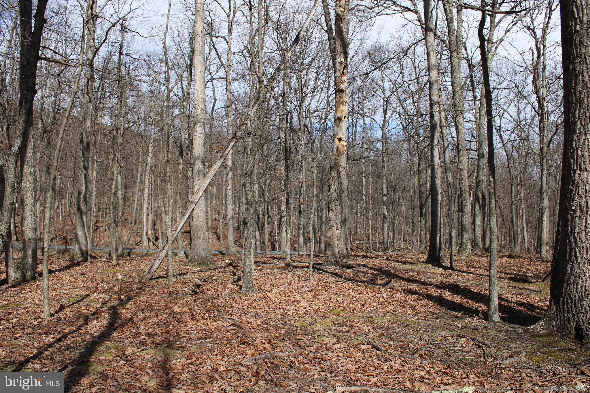 RIVER RIDGE SUBDIVISION - Land