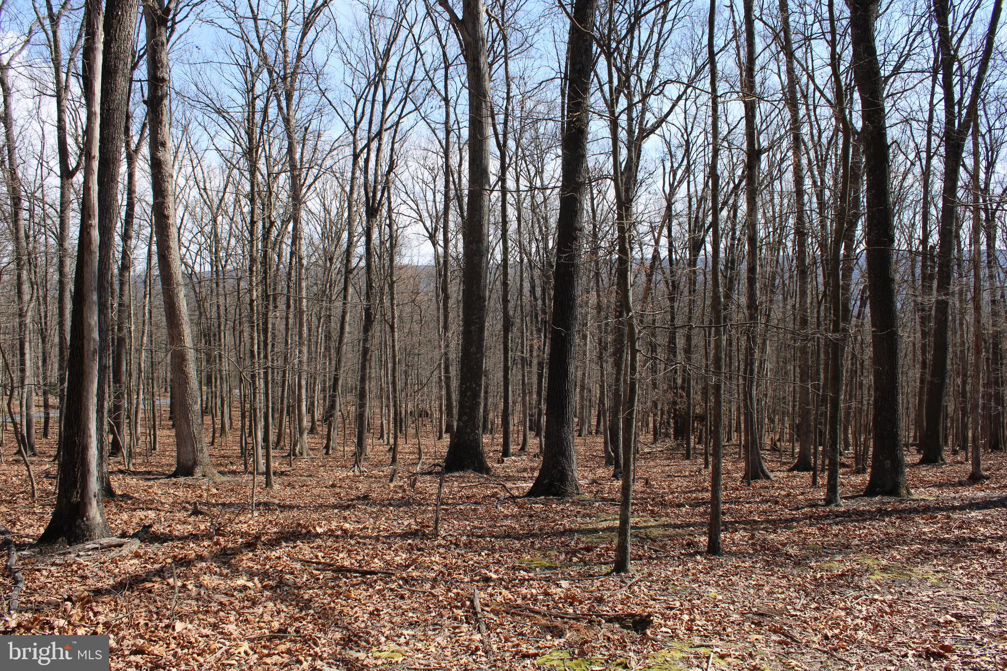 RIVER RIDGE SUBDIVISION - Land