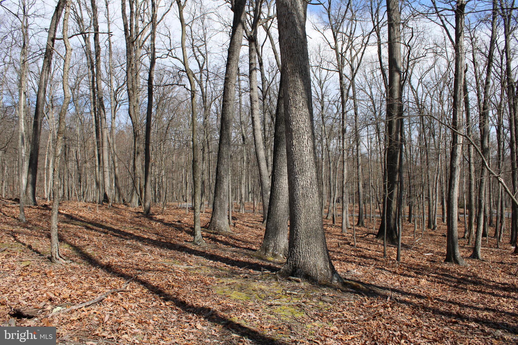 RIVER RIDGE SUBDIVISION - Land