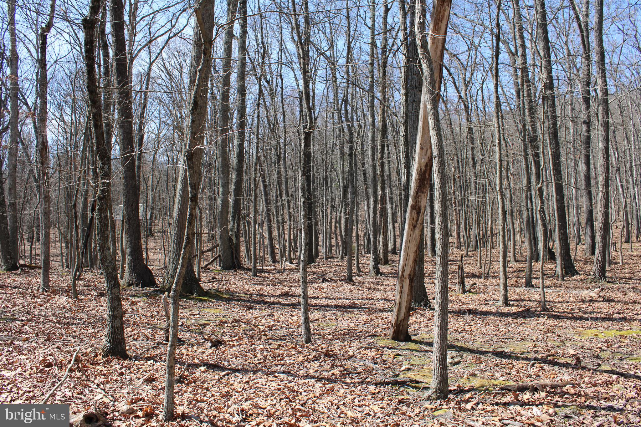 RIVER RIDGE SUBDIVISION - Land