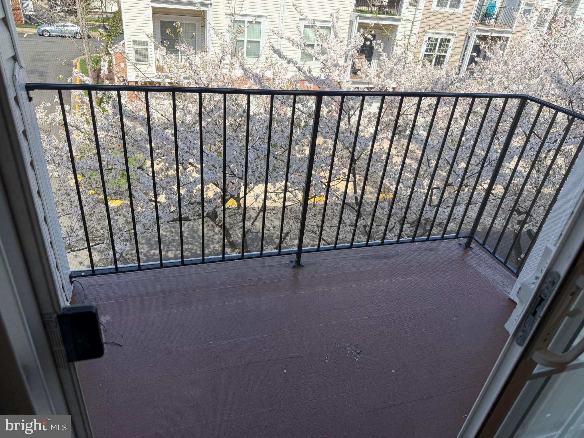 TOWN CENTER AT CAMP SPRINGS - Residential