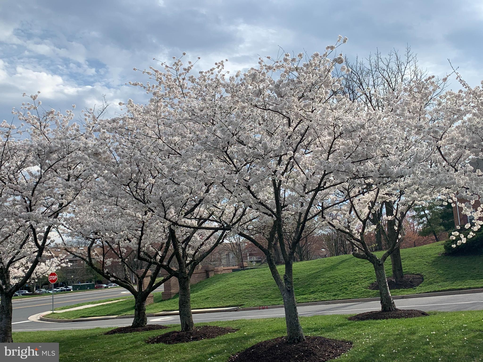 KINGSTOWNE - Residential