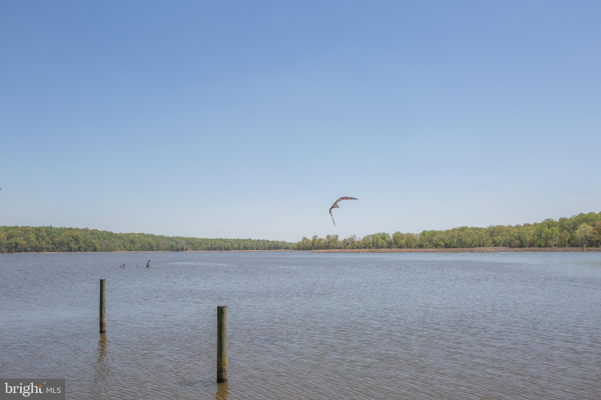 POTOMAC CREEK ESTATES - Residential