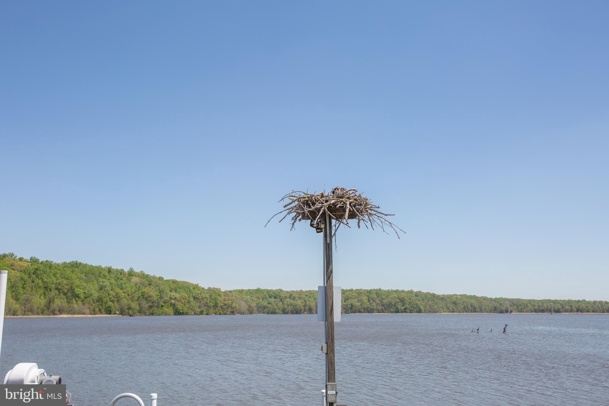 POTOMAC CREEK ESTATES - Residential