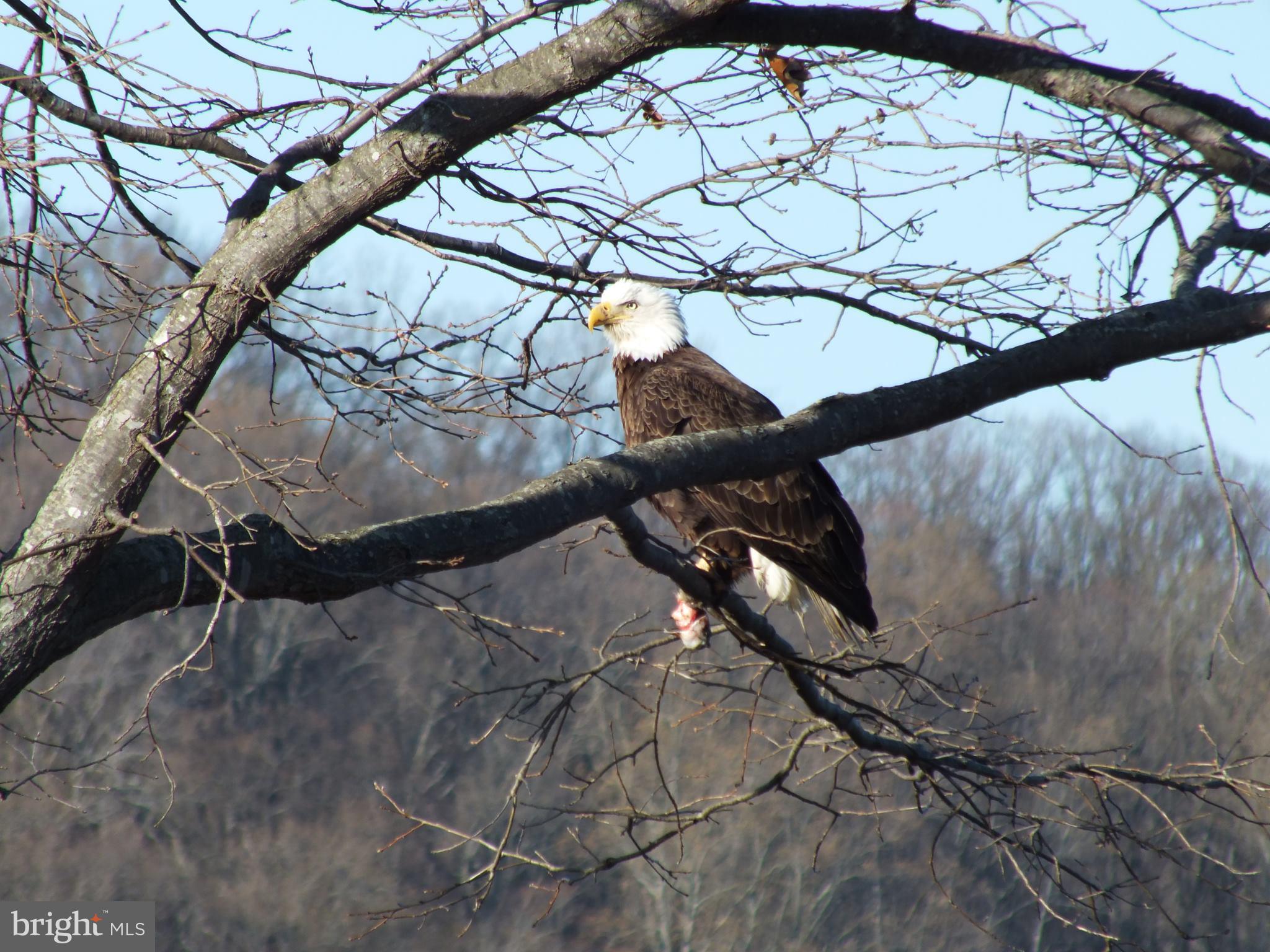 POTOMAC CREEK ESTATES - Residential
