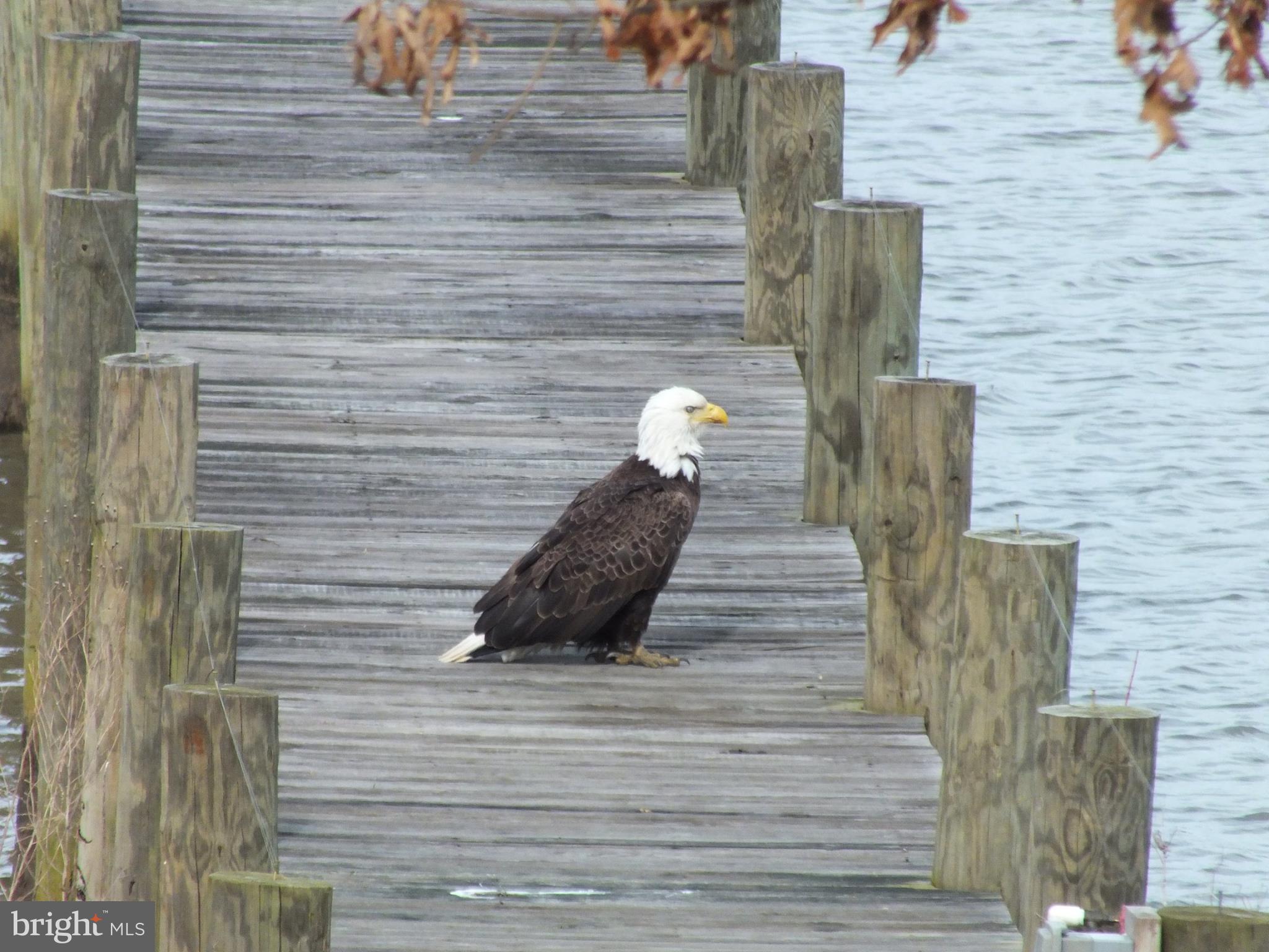 POTOMAC CREEK ESTATES - Residential