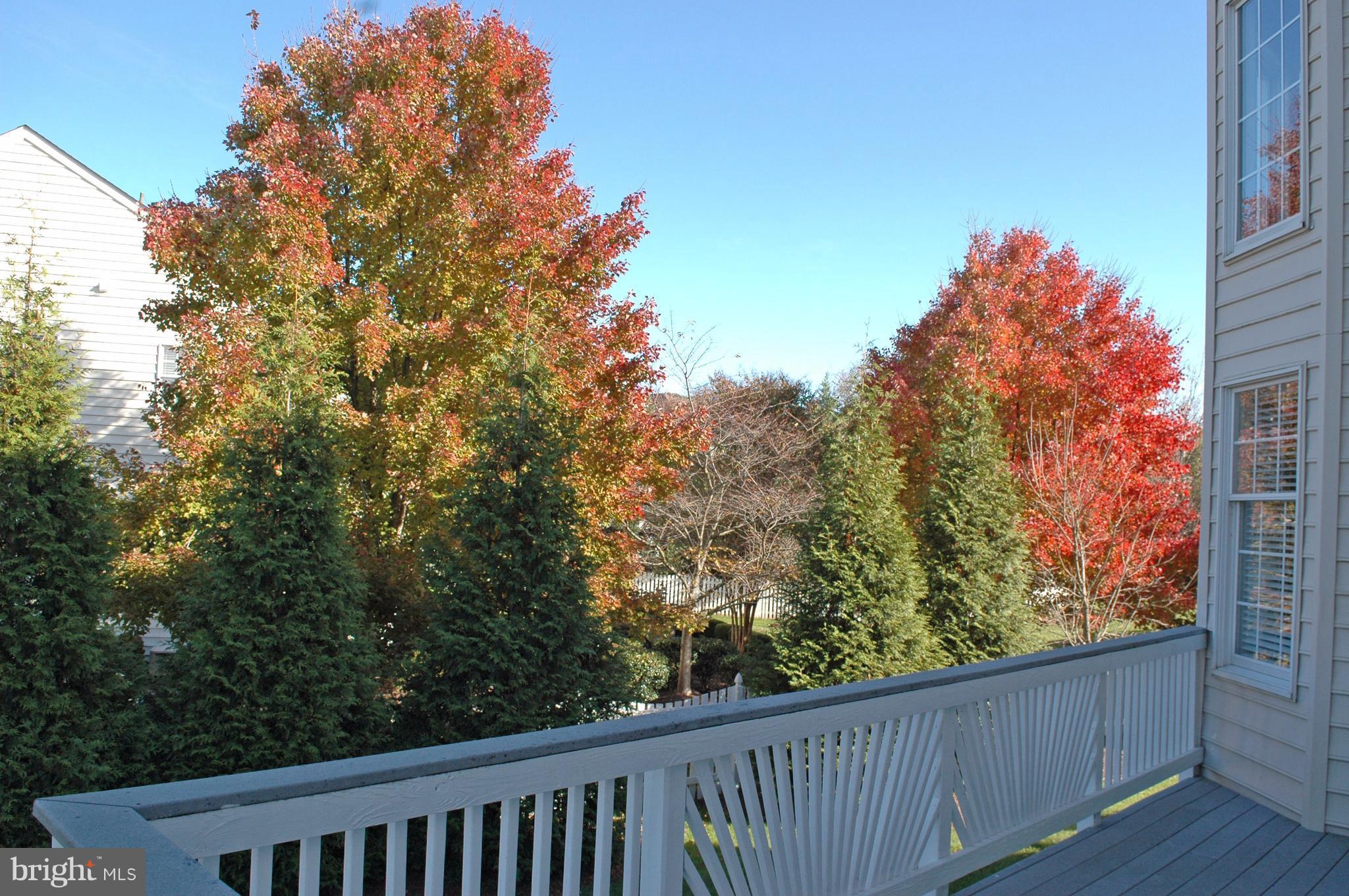 BELMONT COUNTRY CLUB - Residential Lease