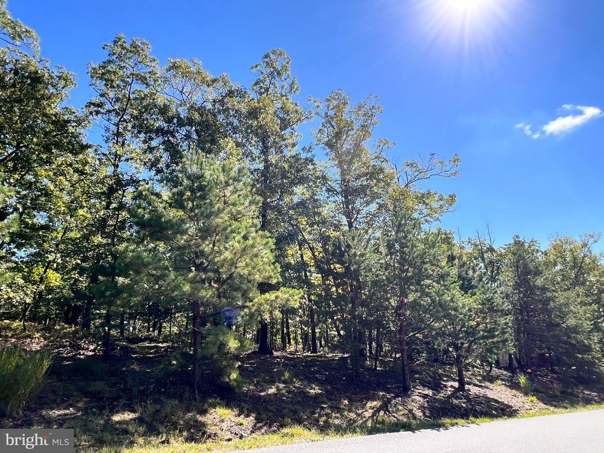 Discover the serenity of this heavily wooded 1.11-acre lot nestled in a peaceful community, offering privacy and natural beauty. Located near the Sleepy Creek Wildlife Management Area, it provides access to nearby trails and outdoor activities. With a Class A membership to The Woods Club amenities, this lot is the perfect spot to build your dream home or a peaceful retreat.