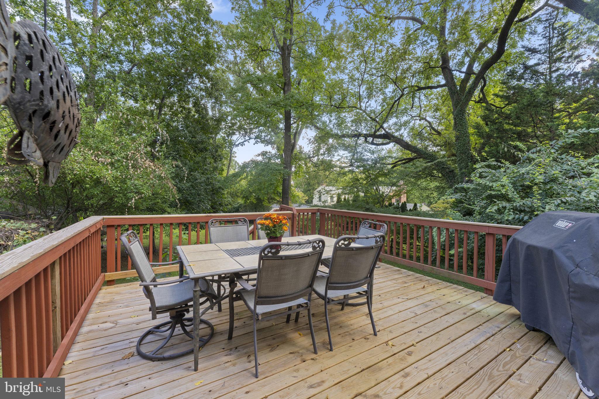 CHEVY CHASE - Residential