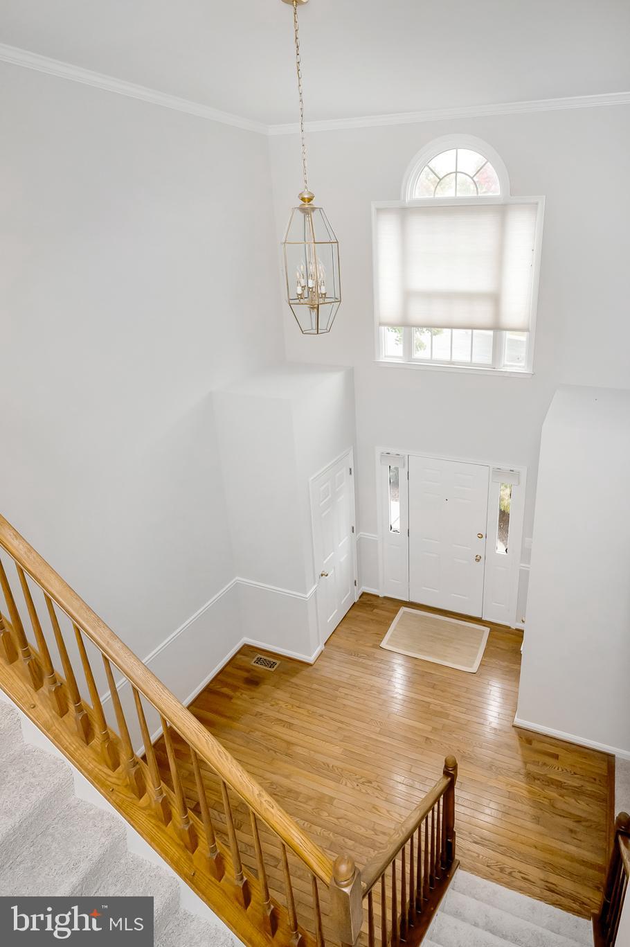 NORTH FOREST - Residential