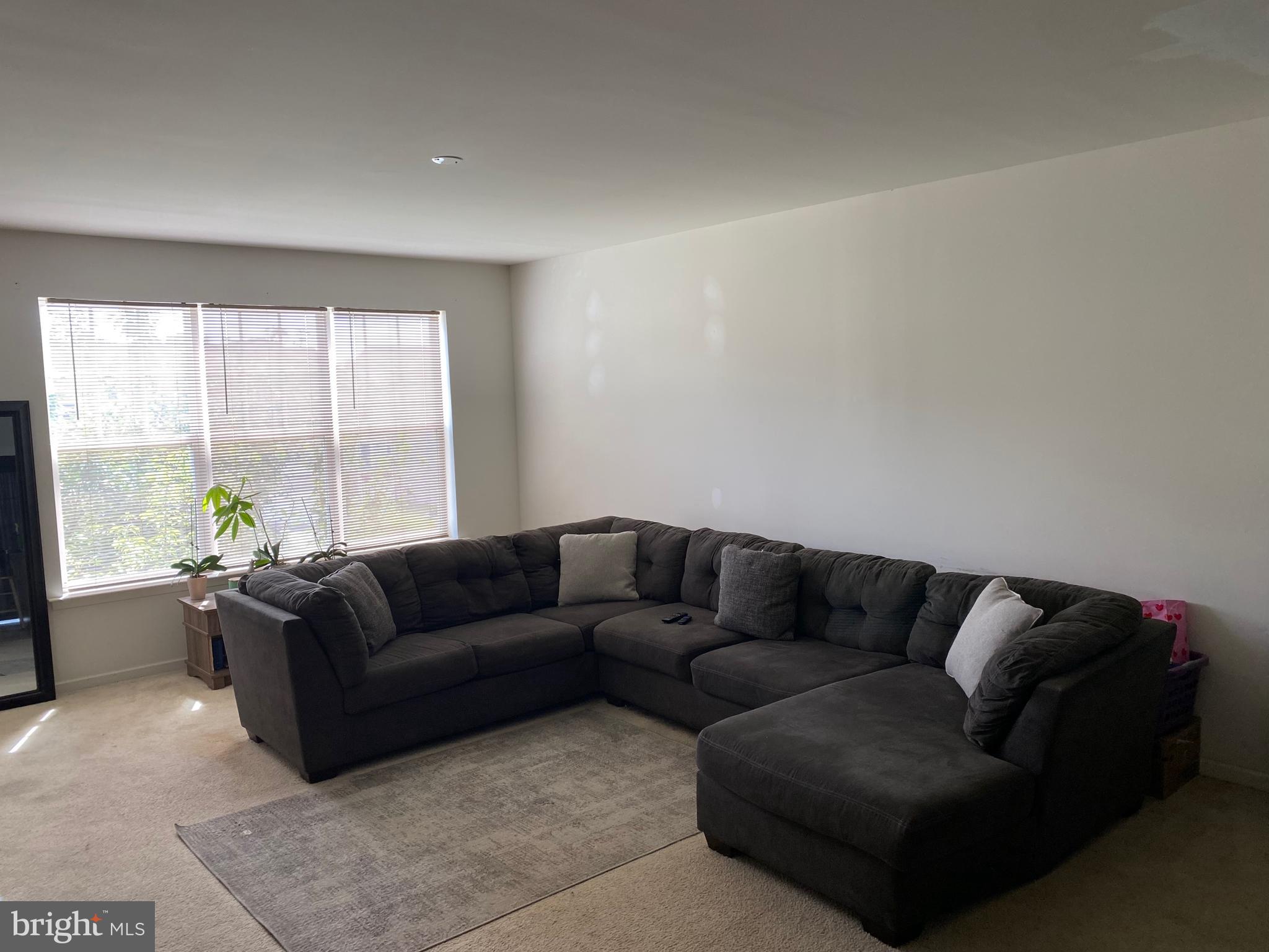 83 TYNDALL TRAIL