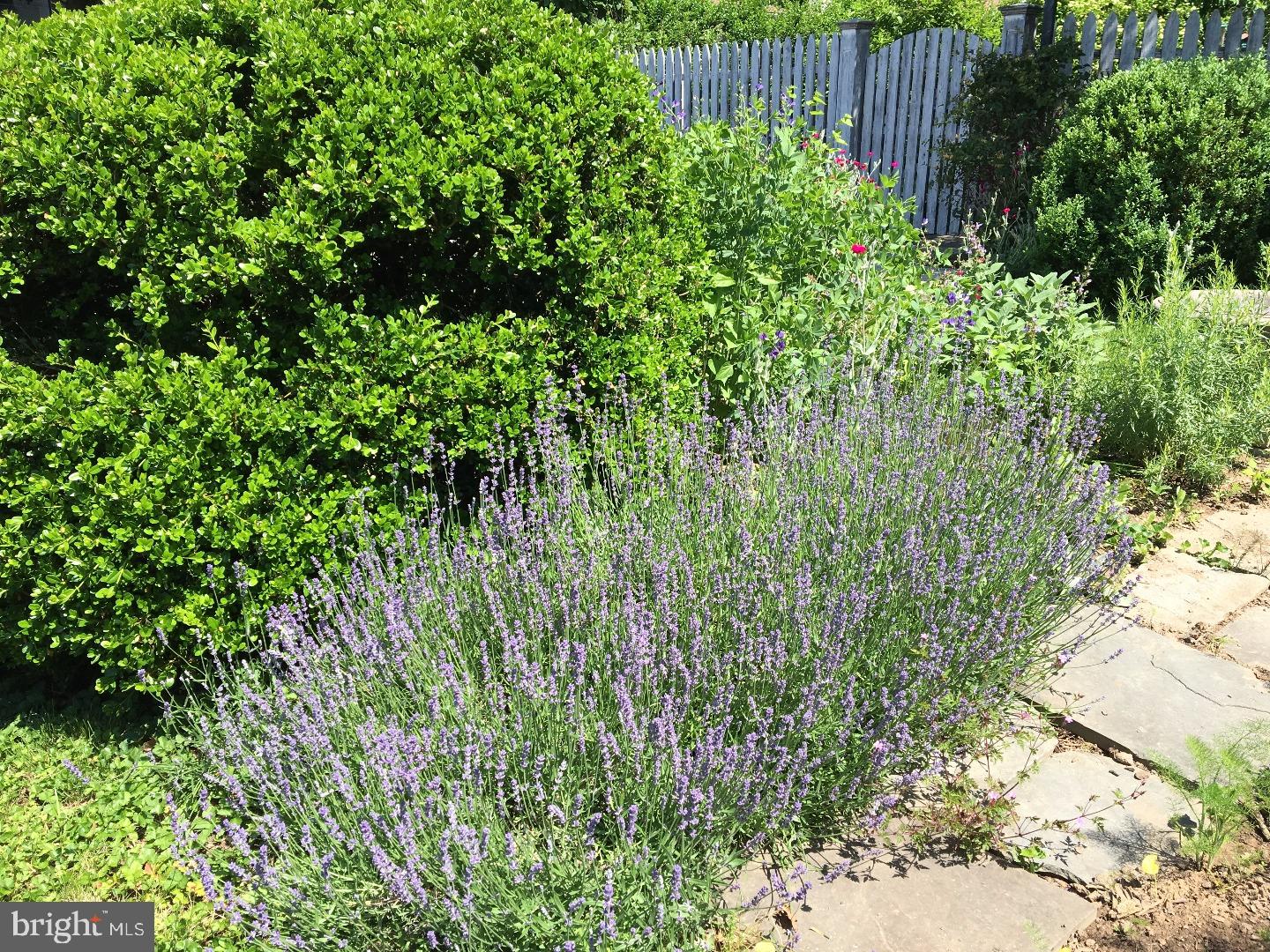 AMBLER - Residential