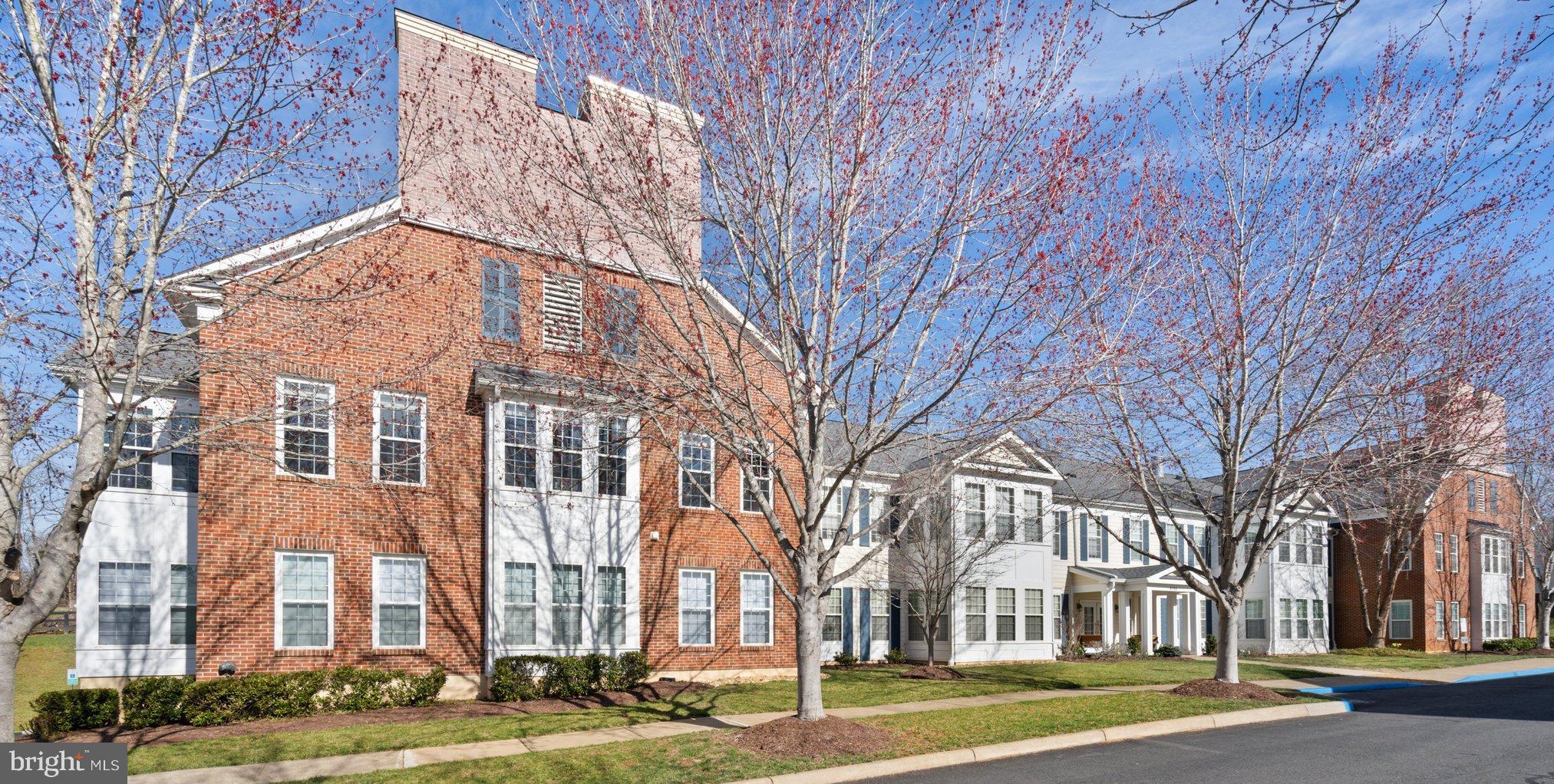 SUFFIELD MEADOWS - Residential