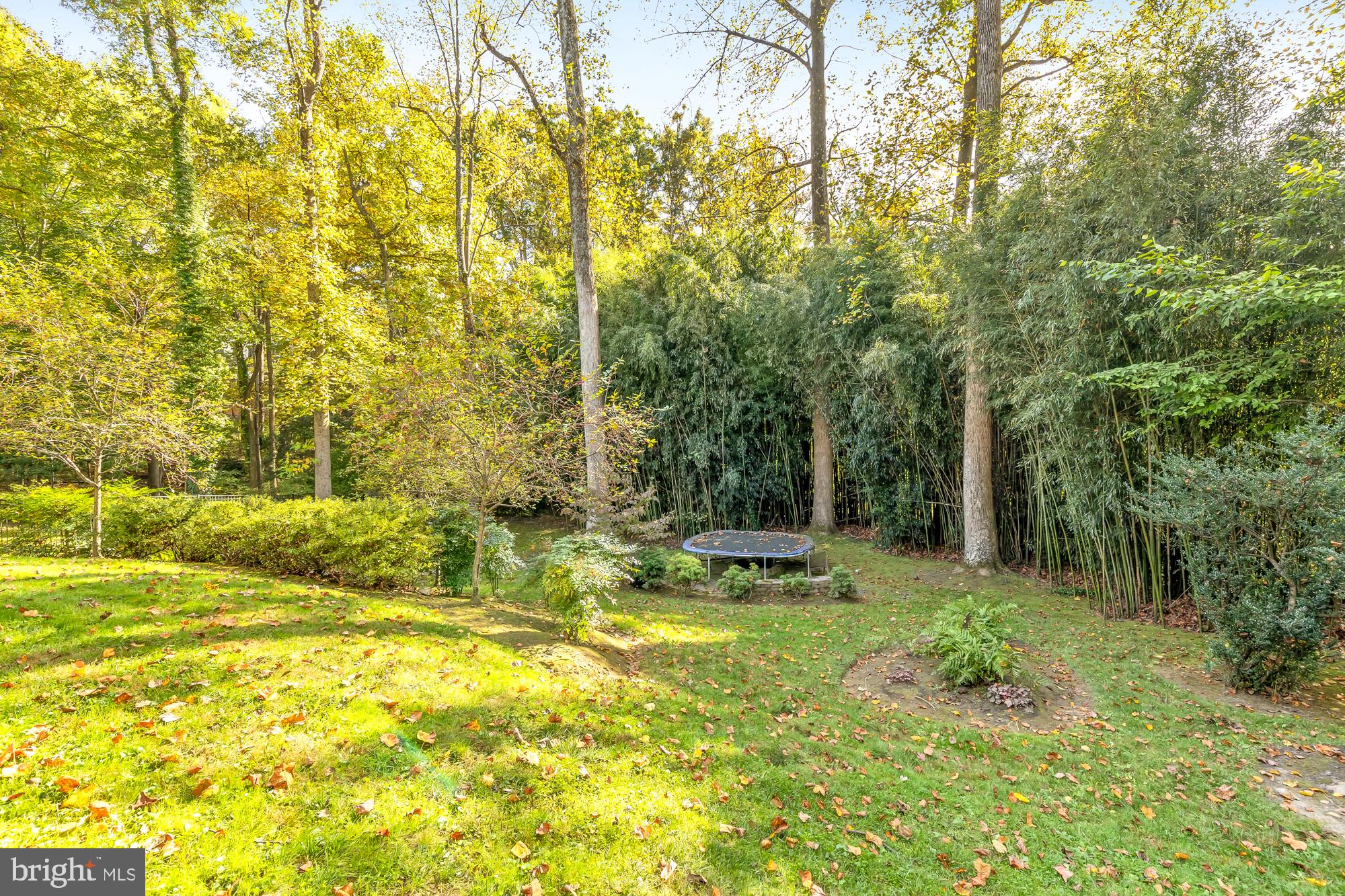 BURNING TREE MANOR - Residential