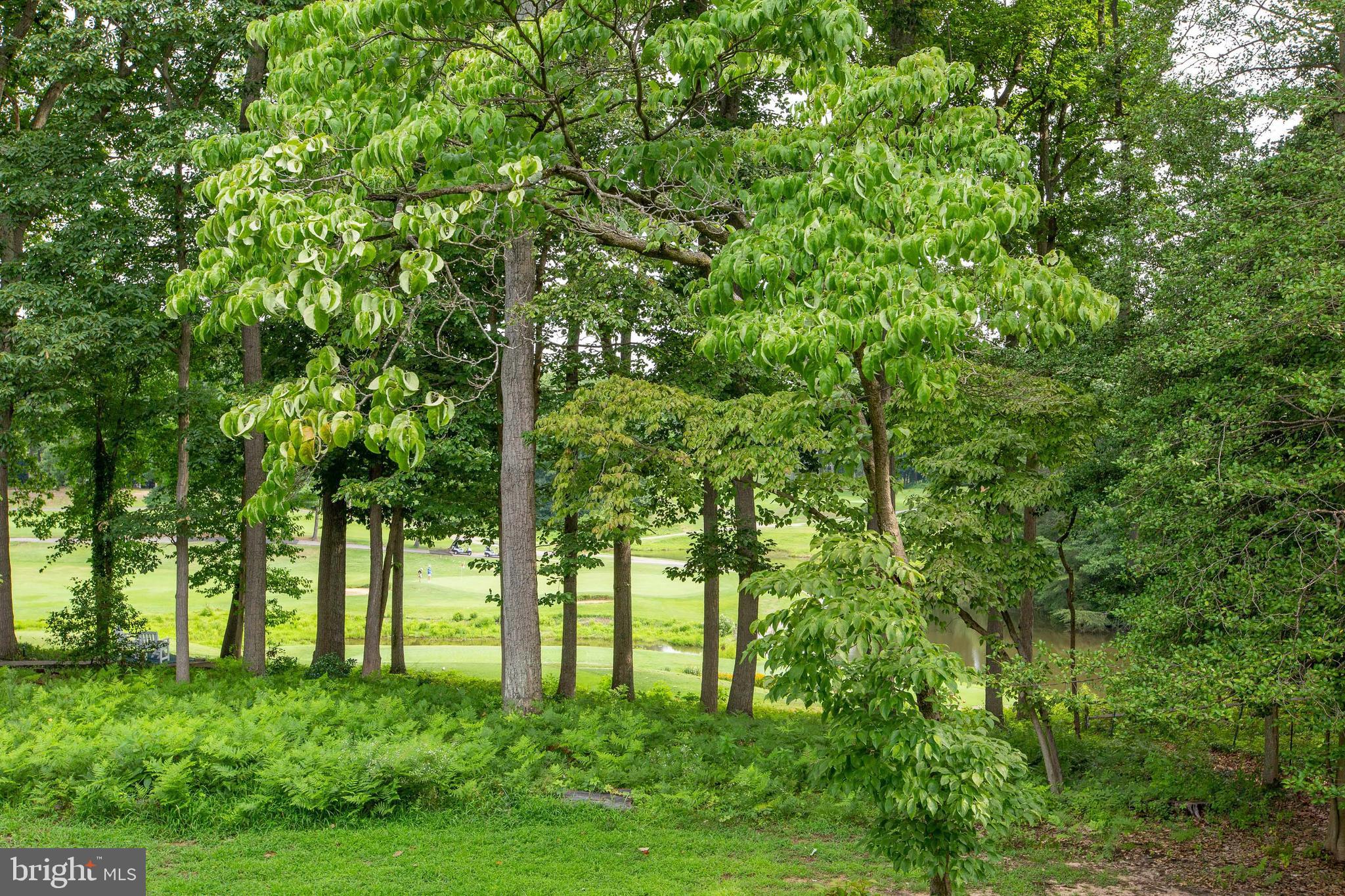 BAY HILLS - Residential