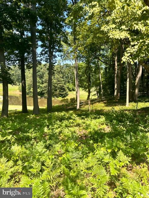 BAY HILLS - Residential