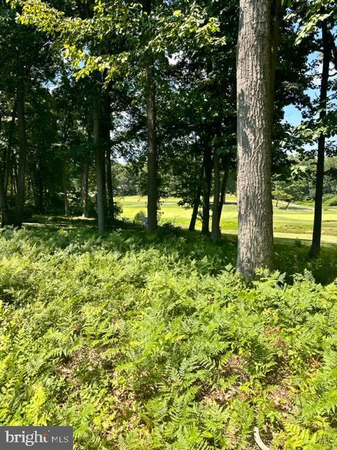 BAY HILLS - Residential