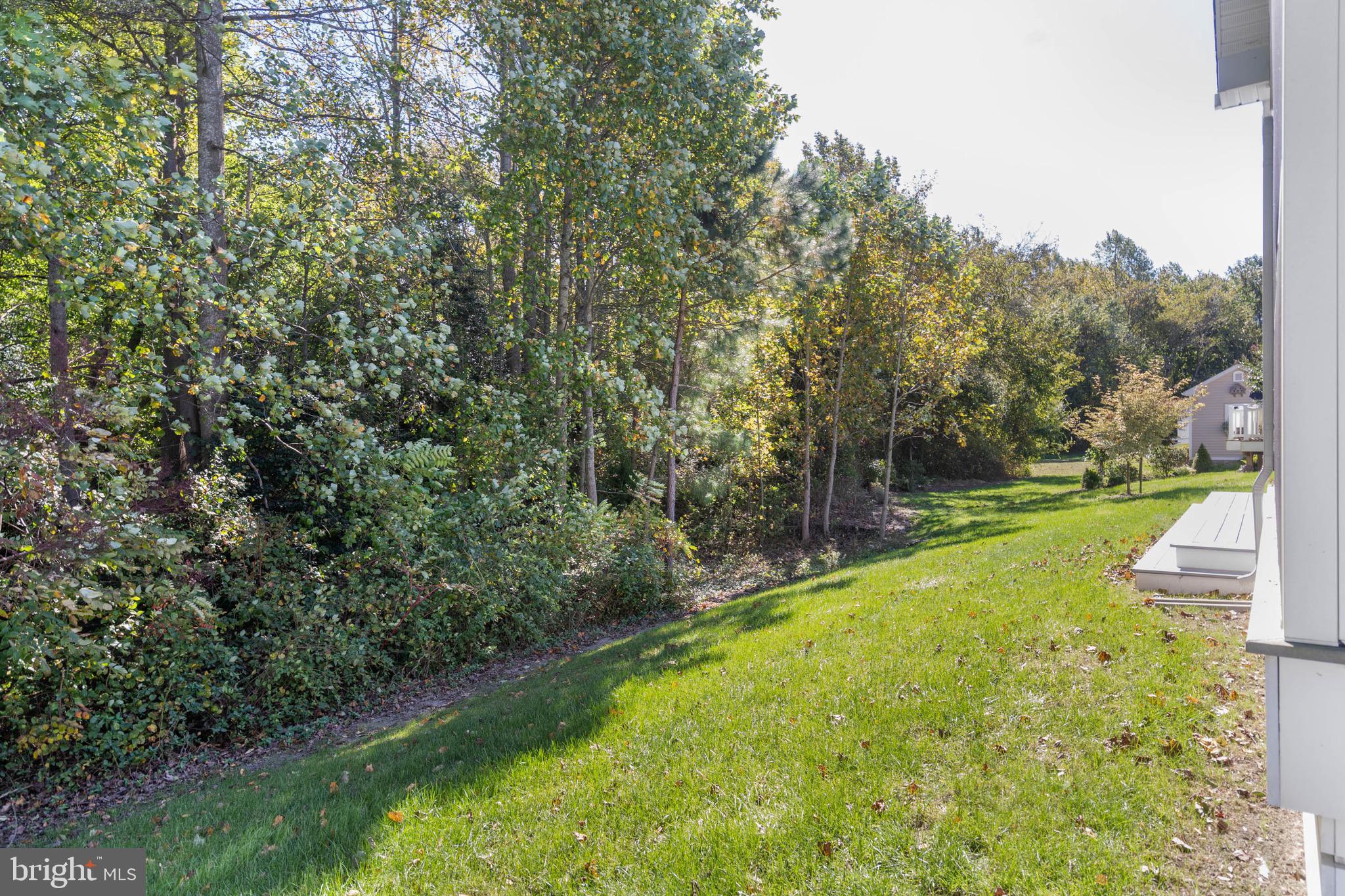 MEADOWS OF BEAVER CREEK - Residential