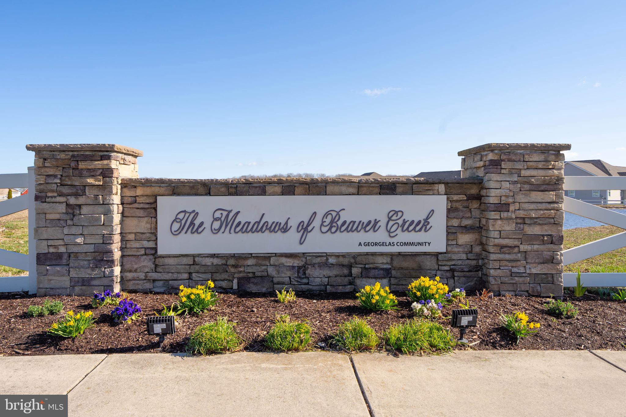 MEADOWS OF BEAVER CREEK - Residential