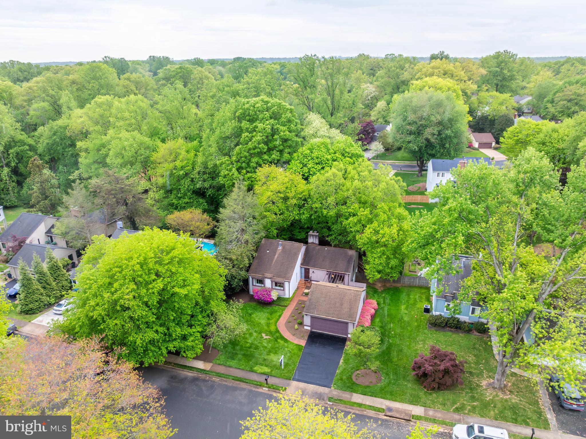 11819 BLUE SPRUCE ROAD