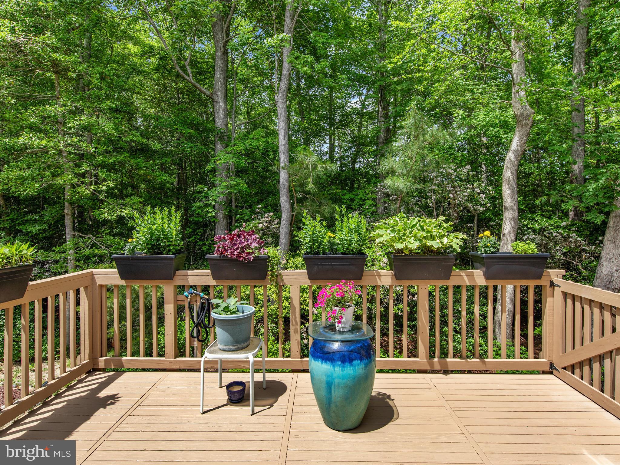 OCEAN PINES - THE PARKE - Residential