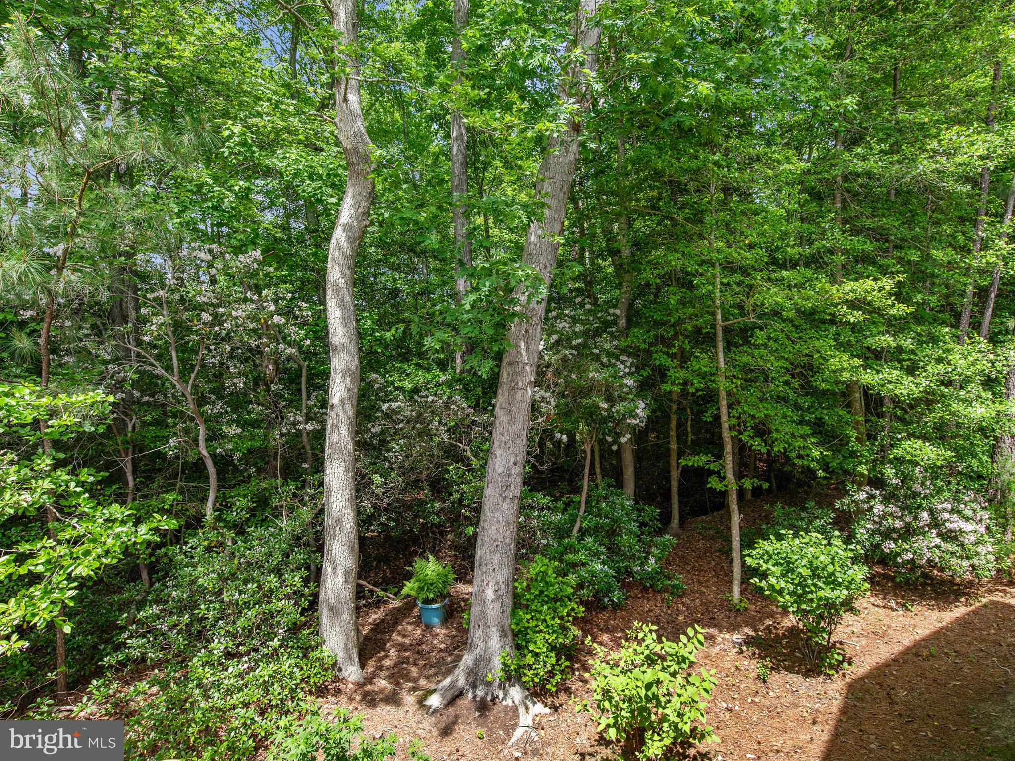 OCEAN PINES - THE PARKE - Residential