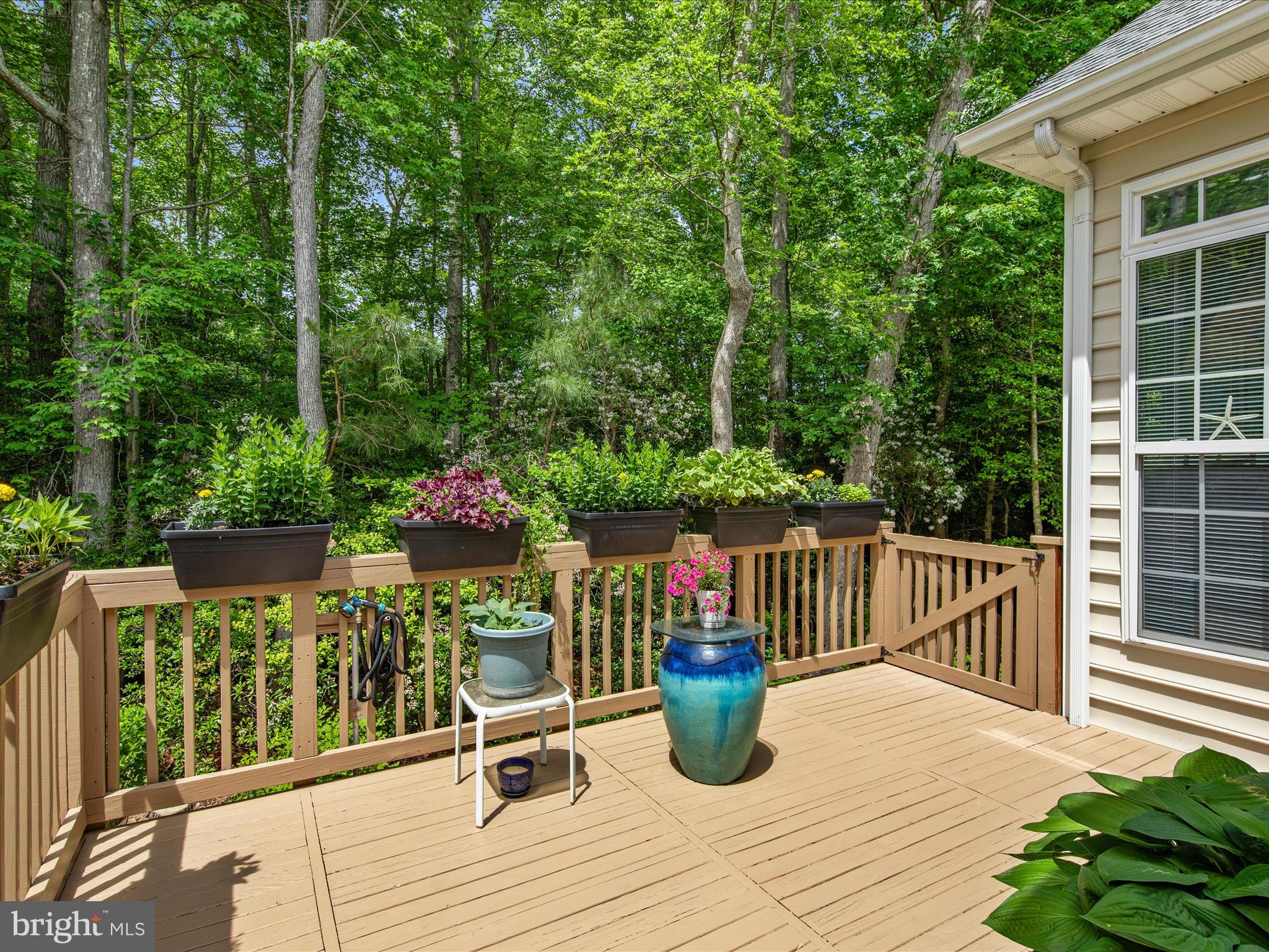 OCEAN PINES - THE PARKE - Residential