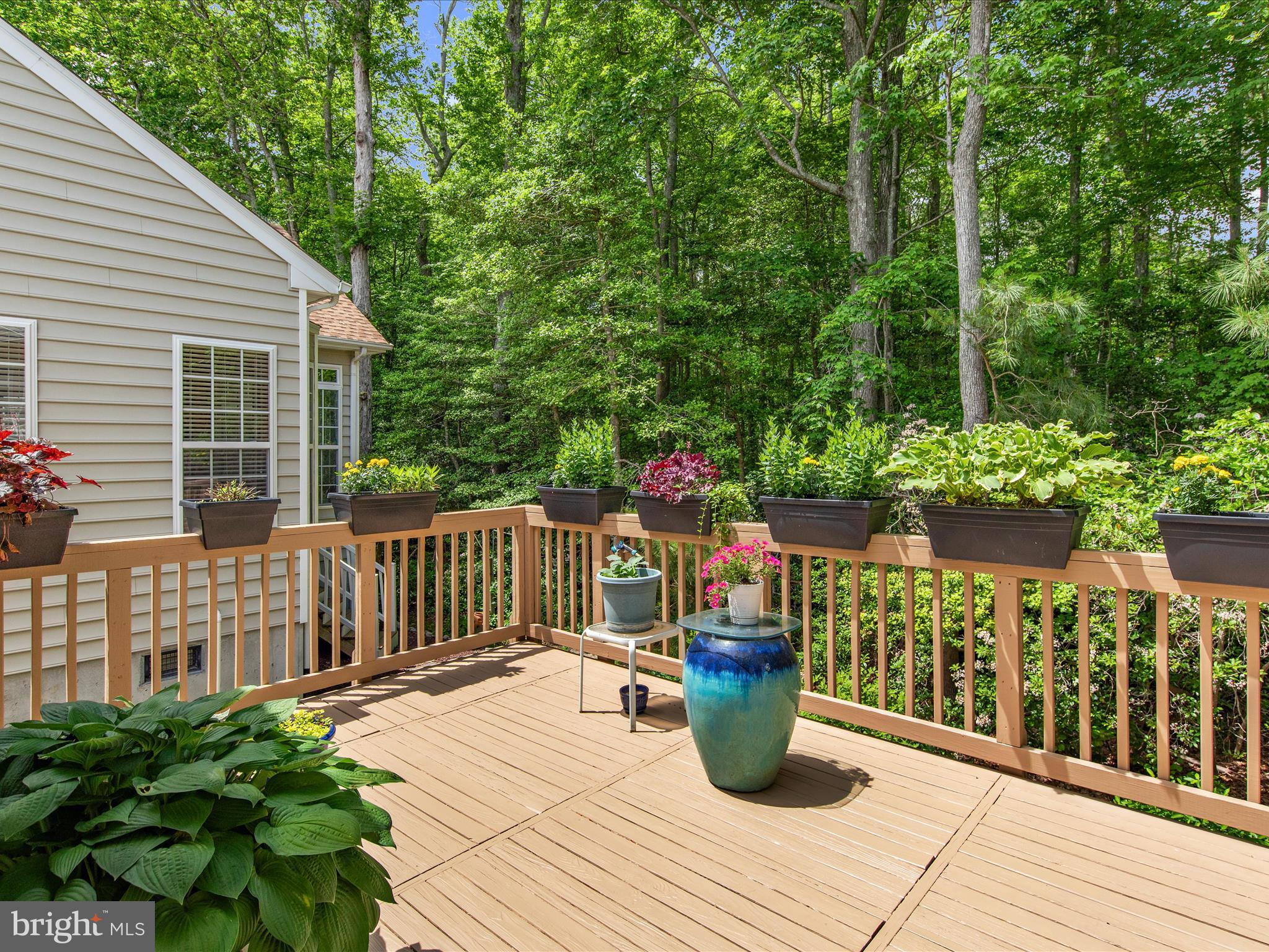 OCEAN PINES - THE PARKE - Residential