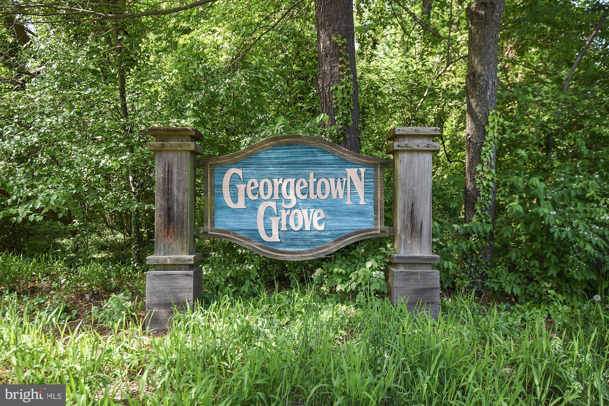 GEORGETOWN GROVE - Residential