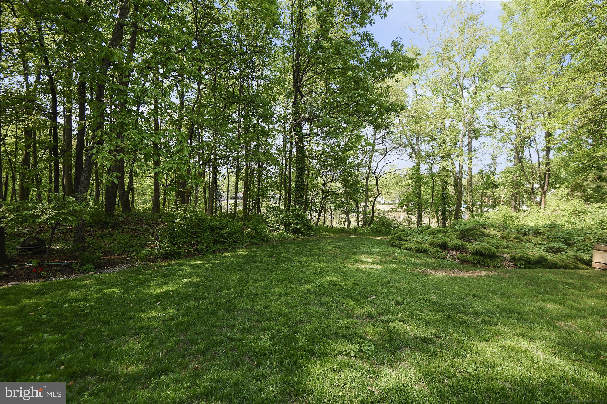 GEORGETOWN GROVE - Residential